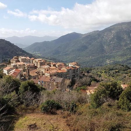 Вілла Casa Corsa Santa-Lucia-di-Tallano Екстер'єр фото